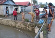 Tinjau Lokasi Terdampak Banjir, Bupati Instruksikan OPD Terkait Lakukan Penanganan