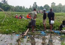 Warga Angkona Dikabarkan Hilang di Sungai Saat Bersihkan Eceng Gondok