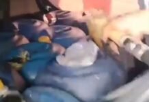 Ketua Kawasan Luwu Utara Tegaskan Izin Operasi SPBU Sabbang Segera Dicabut