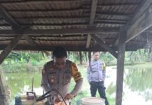 Personel Polsek Malangke Barat Sita Puluhan Liter Miras Jenis Ballo di Desa Arusu