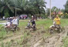 Bakal Seru ! Balap Ojek Gabah Syukuran Panen Desa Lampenai Akan Diikuti Puluhan Peserta