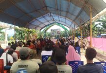 Hadiri Syukuran Panen Desa Lampenai, Bupati Luwu Timur Siap Salurkan Bantuan Combine Kelompok Tani