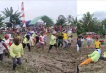 Syukuran Panen Desa Lampenai, Ada Tarik Tambang dan Lomba Lari di Sawah Berlumpur