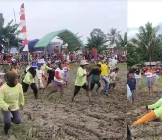 Syukuran Panen Desa Lampenai, Ada Tarik Tambang dan Lomba Lari di Sawah Berlumpur