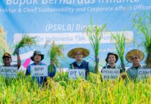Berkah SRI Organik, Hasil Petani Kolaka Binaaan PT Vale IGP Pomalaa, Melimpah