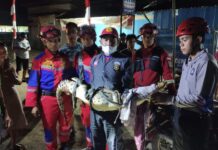 Tim Damkar Morowali Utara Tangkap Buaya Naik ke Permukiman Warga