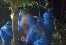 Empat Hari Menghilang, Warga Mangkutana Ditemukan Tergantung di Pohon