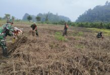 Sertu Pamilu Terus Bantu Petani untuk Mendukung Ketahanan Pangan di Kabupaten Morut