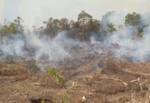Kapolres Luwu Timur Keluarkan Imbauan Akan Tindak Pembakar Hutan !