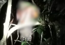 Warga Luwu Utara Ditemukan Tewas Tergantung di Luwu Timur