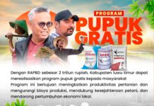 Petani Tomoni Timur Apresiasi Program Pupuk Gratis Bupati Luwu Timur