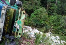 Truck Muat Sagu Terguling di Jalan Trans Sulawesi Luwu Timur