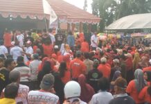 Pengukuhan Tim Pemenangan Budiman Akbar di Tomoni Dihadiri Ribuan Massa Pendukung, Berikut Namanya !