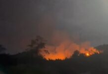 Kebakaran Kebun di Maliwowo, Kades Imbau Warga Waspada Musim Kemarau