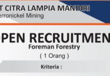 PT Citra Lampia Mandiri Buka Lowongan