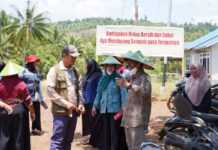 Tingkatkan Kesadaran Lingkungan: Lomba Kebersihan Dasawisma PT Vale Dorong Gerakan Berkelanjutan di Morowali