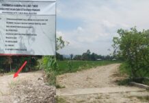 Penampakan Proyek Kelompok Tani di Wotu Dikerjakan Kontraktor, Warga : Hanya Dipoles Raib Ratusan Juta