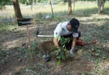 Asisten II Bupati Buka Kegiatan Penanaman Pohon di Taman Sayang