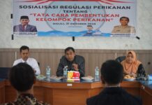 Diskan Lutim Gelar Sosialisasi Regulasi Perikanan Tentang Tata Cara Pembentukan Kelompok Perikanan