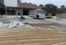 Aktivitas Pabrik Gabah UD Amertha Putra Kembali Dikeluhkan Warga, DLH Luwu Timur Diminta Turun Tangan