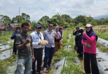 Reformer PKA Lutim Perkenalkan dan Implementasikan Metode Smart Farming pada Tanaman Cabai