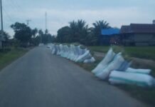 Kurang Rp. 300 Capai HPP, Segini Harga Gabah Petani Luwu Timur Saat Ini