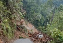 Jalan Trans Sulawesi Penghubung Luwu Timur dan Sulawesi Tengah Tertutup Longsor
