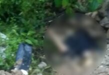 Warga Temukan Mayat Perempuan di Jalan Trans Sulawesi Mangkutana