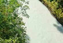 Air Sungai Tomoni Berubah Warna, Diduga Dampak Proyek PLTMH