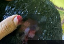 Preman Kampung Asal Bengo Ngamuk, Bacok Kepala Tengkulak Pakai Parang Â