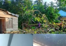 Kasihan, Rumah Korban Tertimpa Pohon di Luwu Timur Dibenahi Sendiri, Kadus Lupa Teruskan Laporan Warganya
