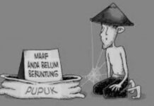 Ketua Kelompok Tani di Selli Mainkan Harga, Pupuk Subsidi Dijual Rp 155 Ribu Per Sak