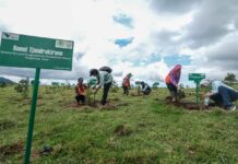 Hadirkan Masa Depan Berkelanjutan, PT Vale Dukung Rehabilitasi DAS di Sulawesi Selatan