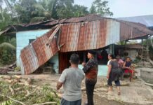 Rumah Warga di Desa Kanawatu Tertimpa Pohon, Dinsos Luwu Timur Salurkan Bantuan Darurat