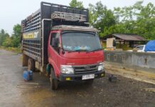 Mobil Truck Muat Alat Musik Electone Malucca 01 Kecelakaan di Jalan Poros Mahalona