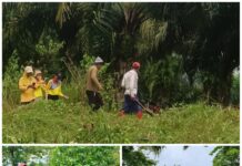 Gotong Royong di Desa Rante Mario, Langkah Awal Wujudkan Ketahanan Pangan