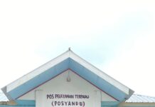 Posyandu ILP di Desa Madani, Ini Harapan Bidan Desa !