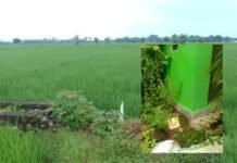 Empat Titik Proyek Swakelola Mangkrak, Warga Sebut Dikelola Kades Jipang