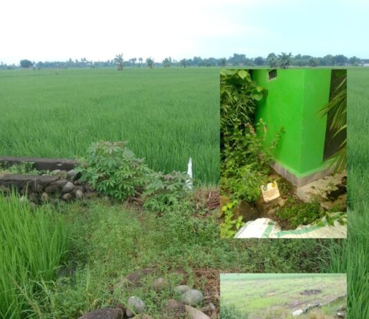 Empat Titik Proyek Swakelola Mangkrak, Warga Sebut Dikelola Kades JipangÂ