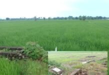 Dikonfirmasi Terkait Proyek Mangkrak, Kades Jipang: Saya Belum Bisa Bicara