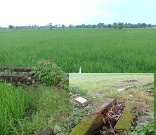 Dikonfirmasi Terkait Proyek Mangkrak, Kades Jipang: Saya Belum Bisa Bicara