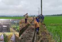 Saluran Irigasi di Bone Berubah Jadi Pembuangan Sampah, Petani: Semoga Diberikan Hidayah !