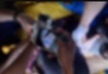 Mayat Wanita Diduga Korban Pembunuhan Ditemukan di Sawah, Polres Gowa Lakukan Penyelidikan