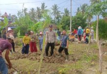 Pemdes Kertoraharjo Bersama PPL dan Kelompok Dasawisma Melakukan Gotong Royong