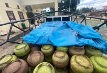 Polsek Towuti Amankan Mobil Pickup Bermuatan Ratusan Tabung Gas Subsidi