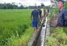 Pemdes Jipang Bantah Proyek Swakelola Mangkrak, Sebut Empat Tahun Berfungsi