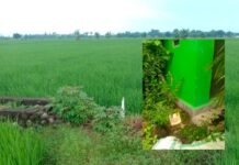 Kades Jipang Bantah Terlibat Proyek Swakelola, Syarif Dg Sitaba: Dia Bohong, Ketua Kelompok Sudah Mengaku