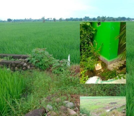 Kades Jipang Bantah Terlibat Proyek Swakelola, Syarif Dg Sitaba: Dia Bohong, Ketua Kelompok Sudah Mengaku