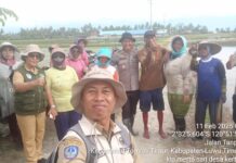 Kelompok Tani Desa Kertoraharjo Lakukan Kegiatan Tanam Padi, Ini Arahan PPL !