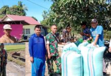 Kabar Gembira untuk Petani di Bengo, Pembelian Perdana Bulog Tembus Rp. 6.500 Per Kilogram